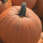 Citrouilles