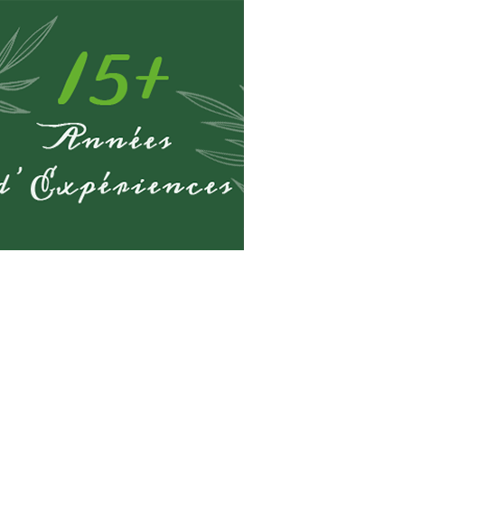 15 ans +3
